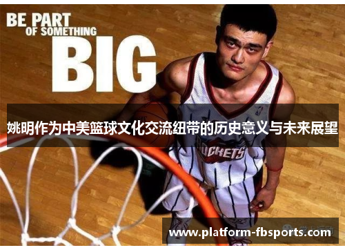姚明作为中美篮球文化交流纽带的历史意义与未来展望